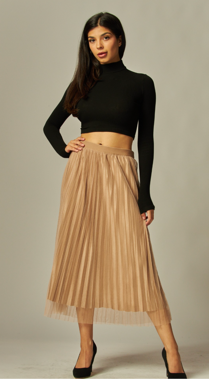 Tulle Pleated Skirt